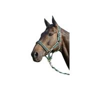 United sportproducts germany usg 3447 licol pour demi-sang avec boucles argentées vert gris