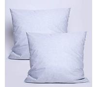 univers decor Lot de 2 oreillers Plumes 65 x 65 cm Dodo