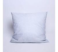 univers decor Oreiller Plumes 65 x 65 cm Dodo