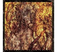 Universal Death Church