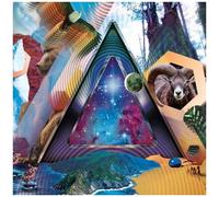 311 – Universal Pulse – CD audio – Neuf