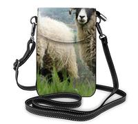 UNIVERSAL SONY PICTURES NORDIC Snowman, The - DVD