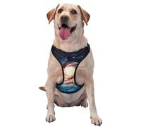 Universe Milky Way Galaxy Harnais réfléchissant pour chien avec 2 boucles à dégagement rapide 4 tailles L Idéal pour les promenades et randonnées en plein air