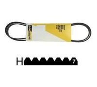 Universeel - courroie poly-v 1951 h7 - 481235818156 G