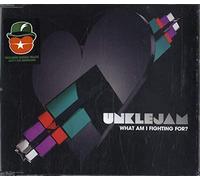 Unkle Jam - What Am I Fighting for [Import]