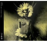 Unkle - Where Did the Night..