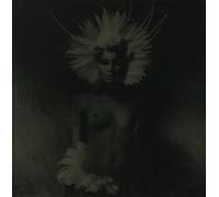 Unkle - Where Did The Night Fall