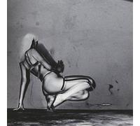 Unkle - Where Did The Night Fall [Import]