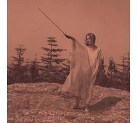 Unknown Mortal Orchestra - II [VINYL]