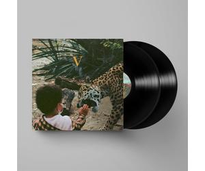 Unknown Mortal Orchestra V (Vinyl) 12" Album