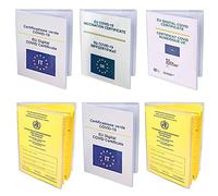 UNOLIGA Pochette Pass Sanitaire, 6pcs Housse Pass Sanitaire, Étui de Protection Transparent pour Passeport Sanitaire Français/Carnet de Vaccination, Indéchirabl, Étanche (105 x 150 mm)
