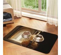 Unreal Engine Tapis d'alimentation en violoncelle pour animal domestique - En cuir absorbant - Imperméable - Pas de taches - Séchage rapide - Antidérapant - 60 x 40 cm