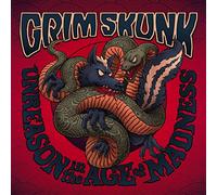 Unreason in The Age of Madness [Import]