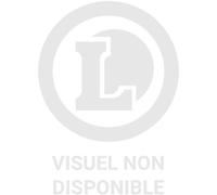 Unrepentant Geraldines 10th Anniversary Édition Limitée