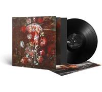 Unreqvited - Beautiful Ghosts [Vinyl] Gatefold Lp Jacket, 180 Gram