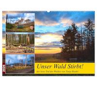 Unser Wald Stirbt (Wandkalender 2026 DIN A2 quer), CALVENDO Monatskalender: Es wird Zeit umzudenken, dies ist ein Kritischer Bildkalender der das Ausmaß des Waldsterbens vor Augen führt