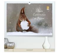 Unsere Eichhörnchen in Bayern (hochwertiger Premium Wandkalender 2026 DIN A2 quer), Kunstdruck in Hochglanz: Süße Bilder unserer Eichhörnchen im Regensburger Herzogspark.