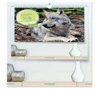Unsere Wölfe - Ein Wildtier kehrt zurück (hochwertiger Premium Wandkalender 2026 DIN A2 quer), Kunstdruck in Hochglanz: Der Wolf ist zurück in den ... begleitet Sie Monat für Monat durch das Jahr.