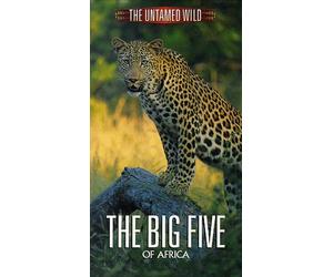 Untamed Wild - Untamed Wild: The Big Five [VHS] [Import USA]