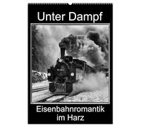 Unter Dampf. Eisenbahnromantik im Harz (Wandkalender 2026 DIN A2 hoch), CALVENDO Monatskalender: Dampflokomotiven in faszinierenden Schwarz-Weiß-Bildern
