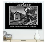 Unter Dampf - Mit der Preßnitztalbahn durchs Erzgebirge (hochwertiger Premium Wandkalender 2026 DIN A2 quer), Kunstdruck in Hochglanz: Dampferlebnis im Erzgebirge - Die Preßnitztalbahn