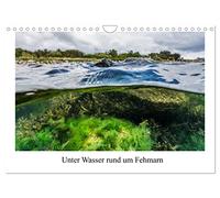Unter Wasser rund um Fehmarn (Wandkalender 2026 DIN A4 quer), CALVENDO Monatskalender: Kalender mit 13 Bilder der Unterwasserwelt in der Ostsee rund um Fehmarn.