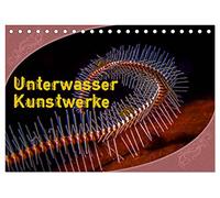 Unterwasser Kunstwerke (Tischkalender 2026 DIN A5 quer), CALVENDO Monatskalender: Ein Ausschnitt aus der Unterwasserwelt, wo man das Gefühl hat, es wären lauter kleine Kunstwerke.