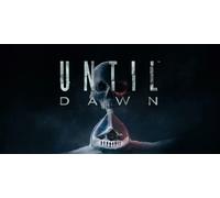 Until Dawn (PC)
