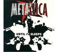 Until It Sleeps [Import]