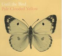 Until The Bird - Pale Clouded Yellow