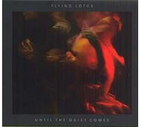 Until The Quiet Comes