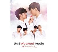 Until We Meet Again Dvd-Box