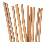 UNUS Lot de 10 bâtons de bambou pour plantes en bambou 150 cm Couleur naturelle