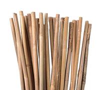 UNUS Lot de 100 Tuteurs en Bambou pour Plantes grimpantes, Tige de Bambou Naturelle, Longueur 120cm