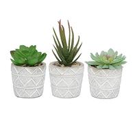 UNUS Lot de 3 pots en béton avec plantes artificielles
