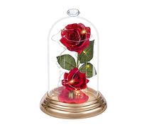 Uoging Rose Eternelle sous Cloche,La Belle et La Bête Rose Fleur Artificielle avec Lumineuse LED Rose Enchantée Dôme en Verre et Base en Bois pour Mariage d'anniversaire de Noël Cadeau