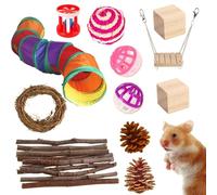 Uonguon Lot de 12 pour cochon d'Inde, tunnel pour hamster, cachette et