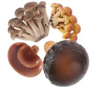 Uonlytech 4 pièces Modèles de Champignons Éducatif Cycle de Croissance Réaliste Modèle Cognitif pour Garçon Fille Simulation du Développement des Champignons