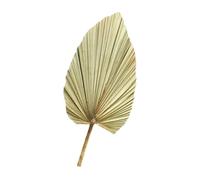 Uonlytech Feuille de Palmier Séchée Naturelle Verte Olive Décoration Murale en Plante Séchée pour Mariage Fête et Intérieur Élément Décoratif Artisanal pour Vase Salon Table ou Arche