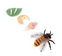 Uonlytech Figurine Modèle Petite Langouste Éducative Réaliste Cycle de Croissance Insecte Simulation Abeille pour Apprentissage Garçon Fille