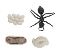 Uonlytech Modèle Cycle de Vie Fourmis Ouvrières Jeu Éducatif Garçon Fille Cognitif Simulation Croissance Animale Détail Réaliste