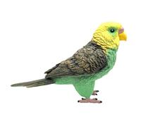 Uonlytech Modèle De Perruche Ondulée Réaliste en Plastique, Décor Éducatif pour Garçon Et Filles, Taille Grosse, Ornement Animalier Statique pour Bureau Et Intérieur, Jouet Pédagogique Écologique