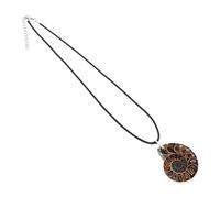 Uonlytech Pendentif En Pierre En Spirale Charmes Du Spécimen De Coquillage Spécimen D'ammonite Naturel Spécimen De Conque Naturel Fossile De Conque Naturel