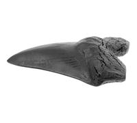 Uonlytech Réplique Dents Mégalodon Géante en Résine Modèle Géant de Dents de Requin Mégalodon Spécimen Décoratif pour Stage d'Enseignement et Décoration Intérieure Objet de Collection