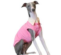UOSIA Chemise pour Chien, T-Shirt Respirant pour lévrier Italien, débardeur Doux et Extensible, Rose