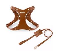 UOSIA Ensemble Harnais et Laisse en Cuir Souple Ajustable pour Chiens de Petite et Moyenne Taille Harnais Confortable Anti-Traction avec 2 Clips pour Laisse, idéal pour Les promenades