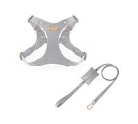 UOSIA Ensemble Harnais et Laisse en Cuir Souple Ajustable pour Chiens de Petite et Moyenne Taille Harnais Confortable Anti-Traction avec 2 Clips pour Laisse, idéal pour Les promenades