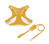 UOSIA Ensemble Harnais et Laisse en Cuir Souple Ajustable pour Chiens de Petite et Moyenne Taille Harnais Confortable Anti-Traction avec 2 Clips pour Laisse, idéal pour Les promenades
