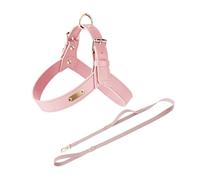 UOSIA Ensemble Harnais et Laisse réglables pour Chien Harnais en Cuir en Forme de Y avec Anneaux métalliques en D Gilets Anti-Traction pour Promenade et Dressage