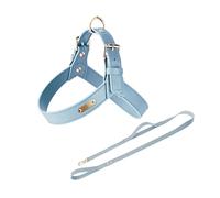 UOSIA Ensemble Harnais et Laisse réglables pour Chien Harnais en Cuir en Forme de Y avec Anneaux métalliques en D Gilets Anti-Traction pour Promenade et Dressage